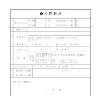 출생증명서 (1) 출생증명서 (1)